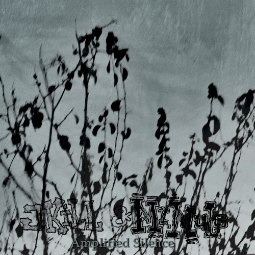 Amplified Silence
