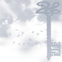 26
