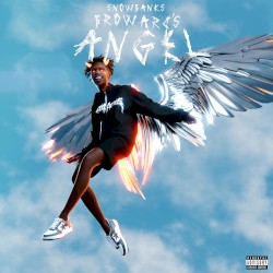 Broward's Angel