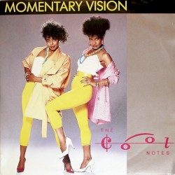 Momentary Vision