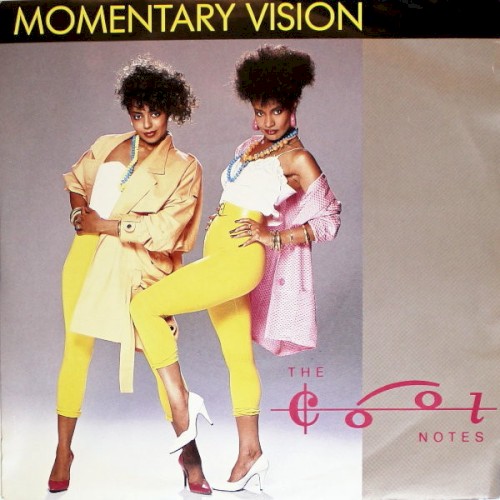Momentary Vision