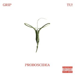 PROBOSCIDEA