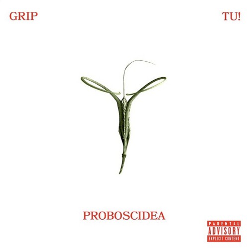 PROBOSCIDEA