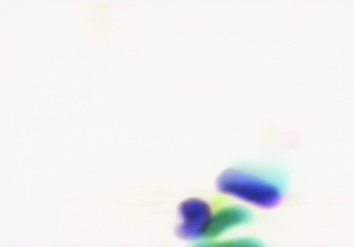 Meadow