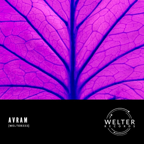 WELTER222