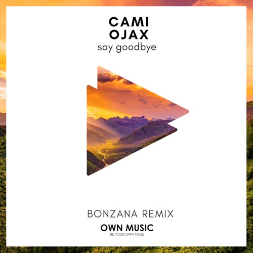 Say Goodbye (The Remixes)