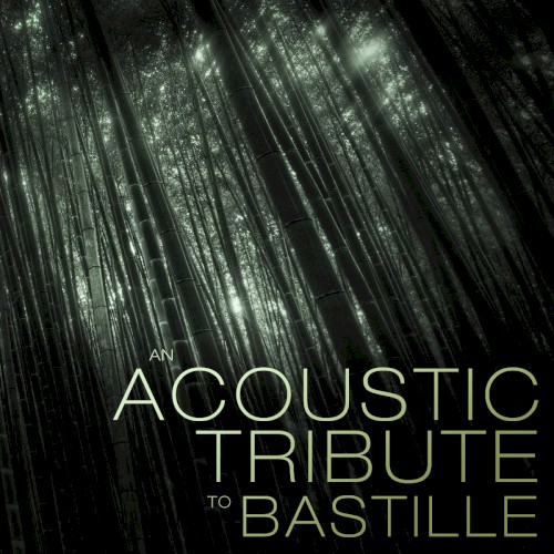 Acoustic Tribute To Bastille