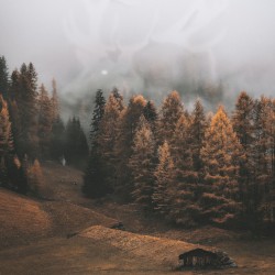 Harangoznak Vecsernyére