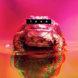 Toad