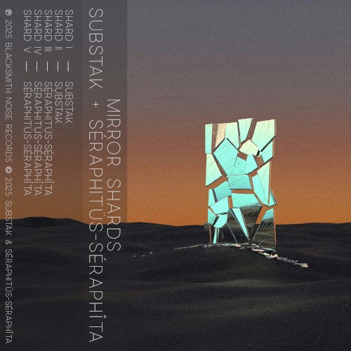 Mirror Shards