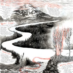 White Stag