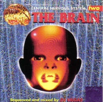 Central Nervous System Two: The Brain