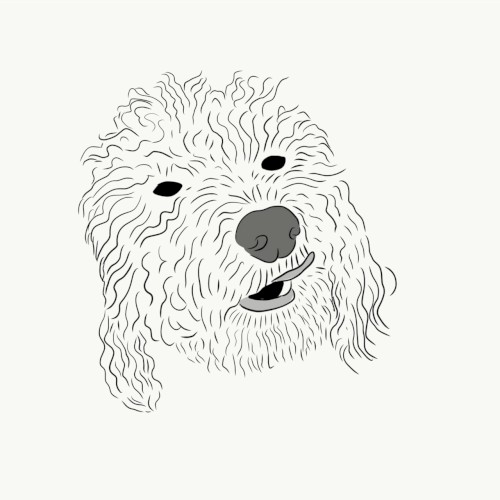 Oliver