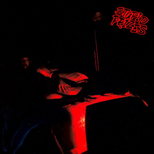 stupid prizes