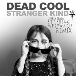 Stranger Kind (Stabbing Westward remix)
