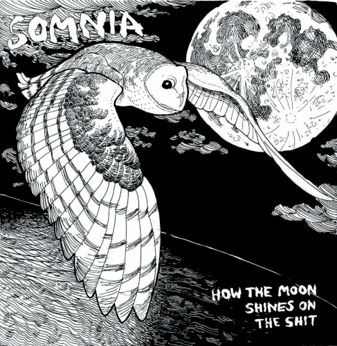 How the Moon Shines on the Shit