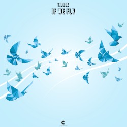 If We Fly