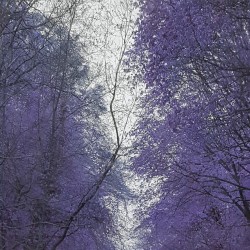 The Journey of Life