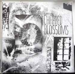 Charred Blossoms