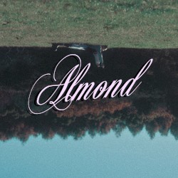アーモンド