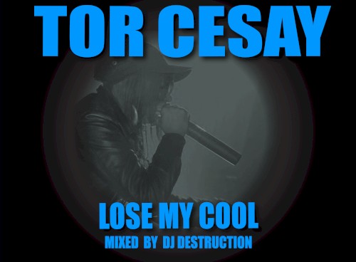 Lose My Cool: Mixed By DJ Destruction