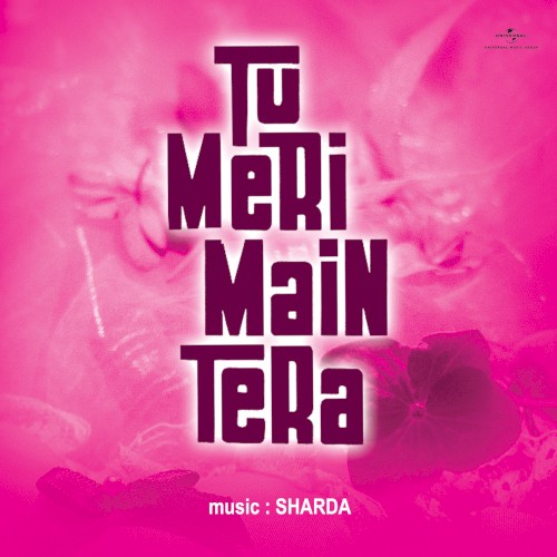 Tu Meri Main Tera