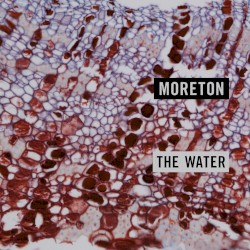 The Water