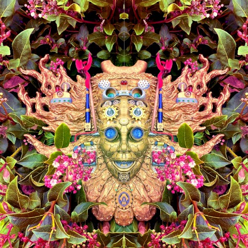 Carnival of Peculiarities