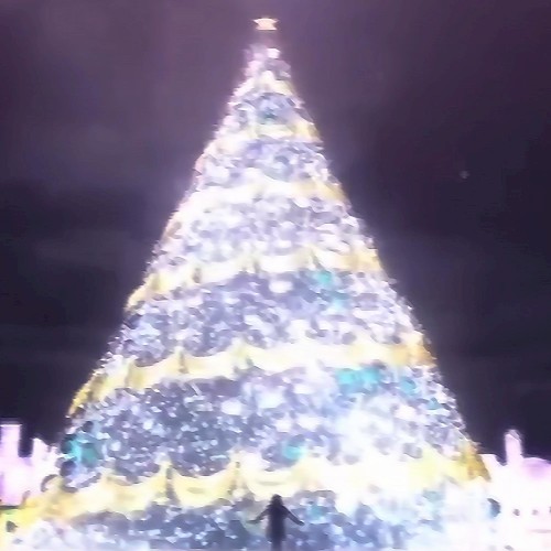 *❄️• 心配のない冬 •❄️*