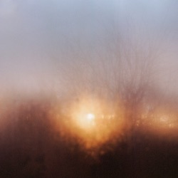 after rain