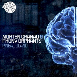 Pineal Gland