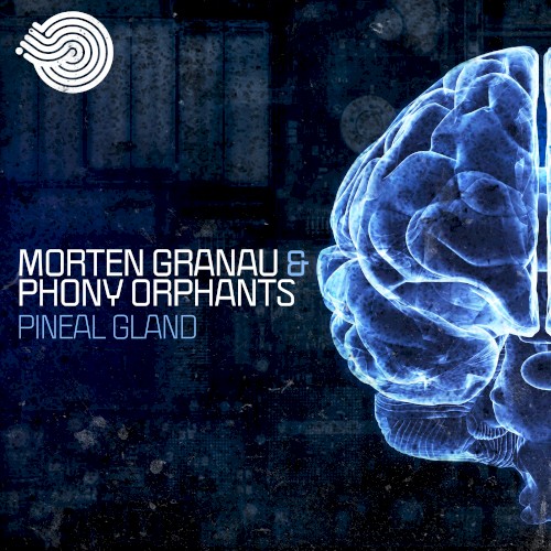 Pineal Gland