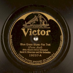 Blue Grass Blues / Honolulu Blues