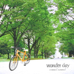wonder day