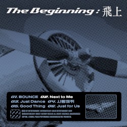 The Beginning : 飛上
