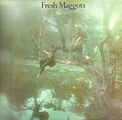 Fresh Maggots