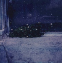 The Endless Sadness of the Shoreless Heart