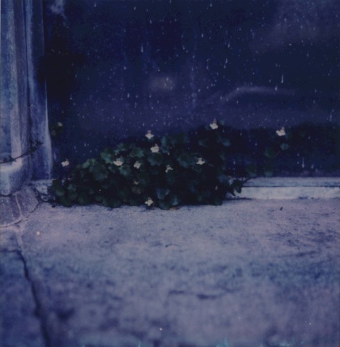The Endless Sadness of the Shoreless Heart