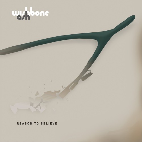 Reason to Believe