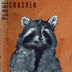 Plane Crasher