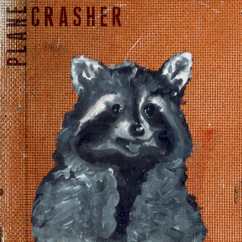 Plane Crasher