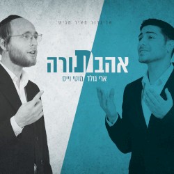 אהבת תורה