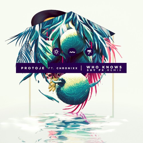 Who Knows (Shy FX remix)