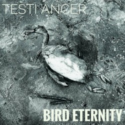 Bird Eternity