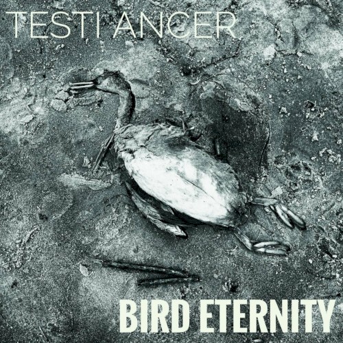 Bird Eternity