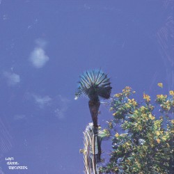 Vuelo