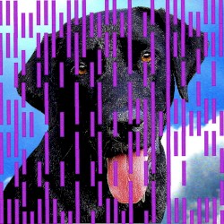 Buster