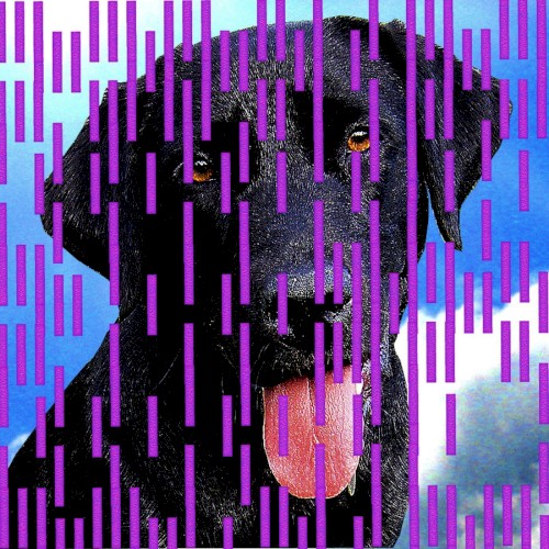 Buster