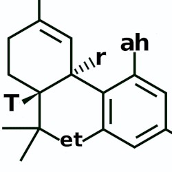 5000 Micrograms