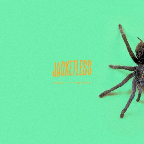 Scary Spiders